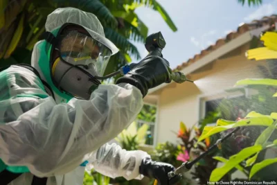 Como Elegir el Producto Quimico Correcto para Fumigacion de Plagas Domesticas