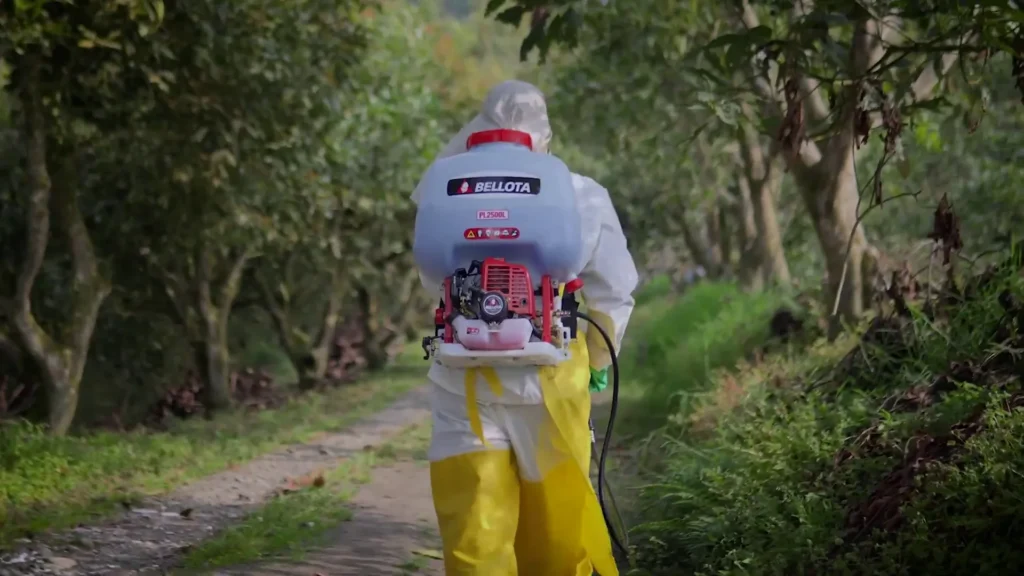 Tecnicas de Fumigacion para Prevenir la Expansion de Insectos Vectores de Enfermedades