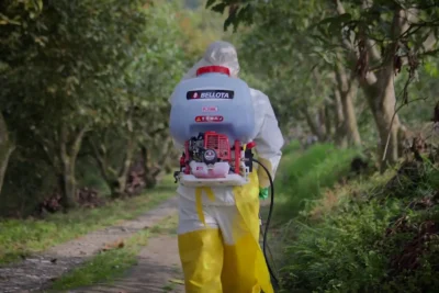 Tecnicas de Fumigacion para Prevenir la Expansion de Insectos Vectores de Enfermedades