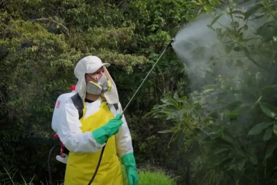 El Rol de la Tecnologia en la Fumigacion Moderna de Invernaderos